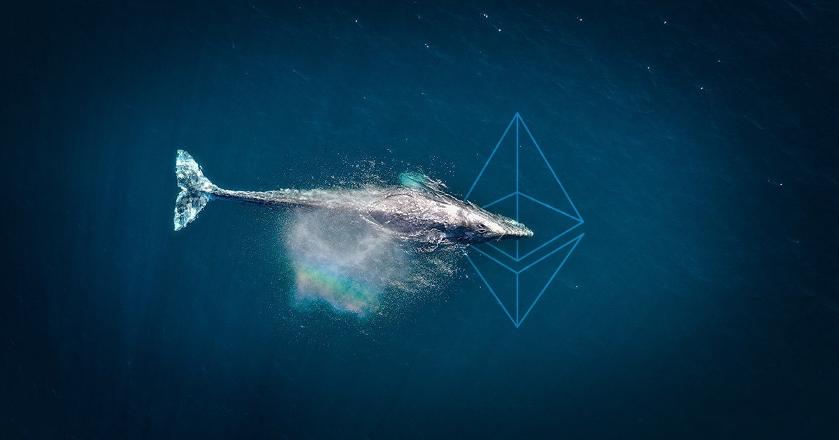 Ancient Ethereum Whale Suddenly Moves 7,000 Eth